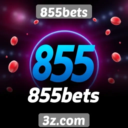 Análise da plataforma de apostas 855bets