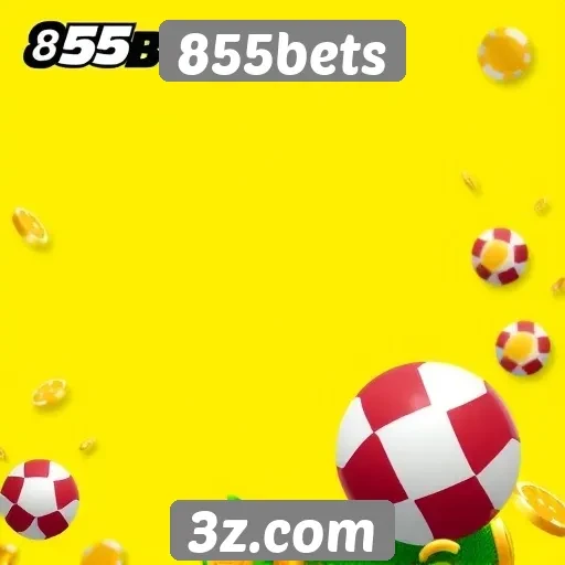 Promoções atuais no 855bets atraem novos usuários